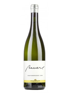 Bauer Sauvignonasse 2023 | Crama Bauer | Dragasani